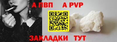 стафф Донской